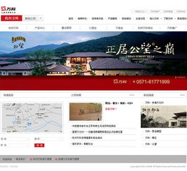 杭州頂尖品牌網站建設與軟件開發 數字化轉型的核心驅動力