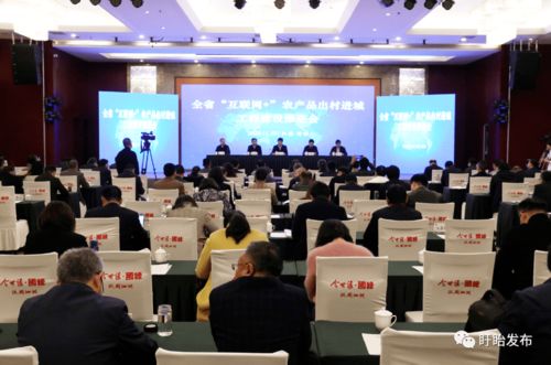 全省互聯網農產品出村進城工程建設推進會在盱眙召開，共筑農產品電商發展新藍圖